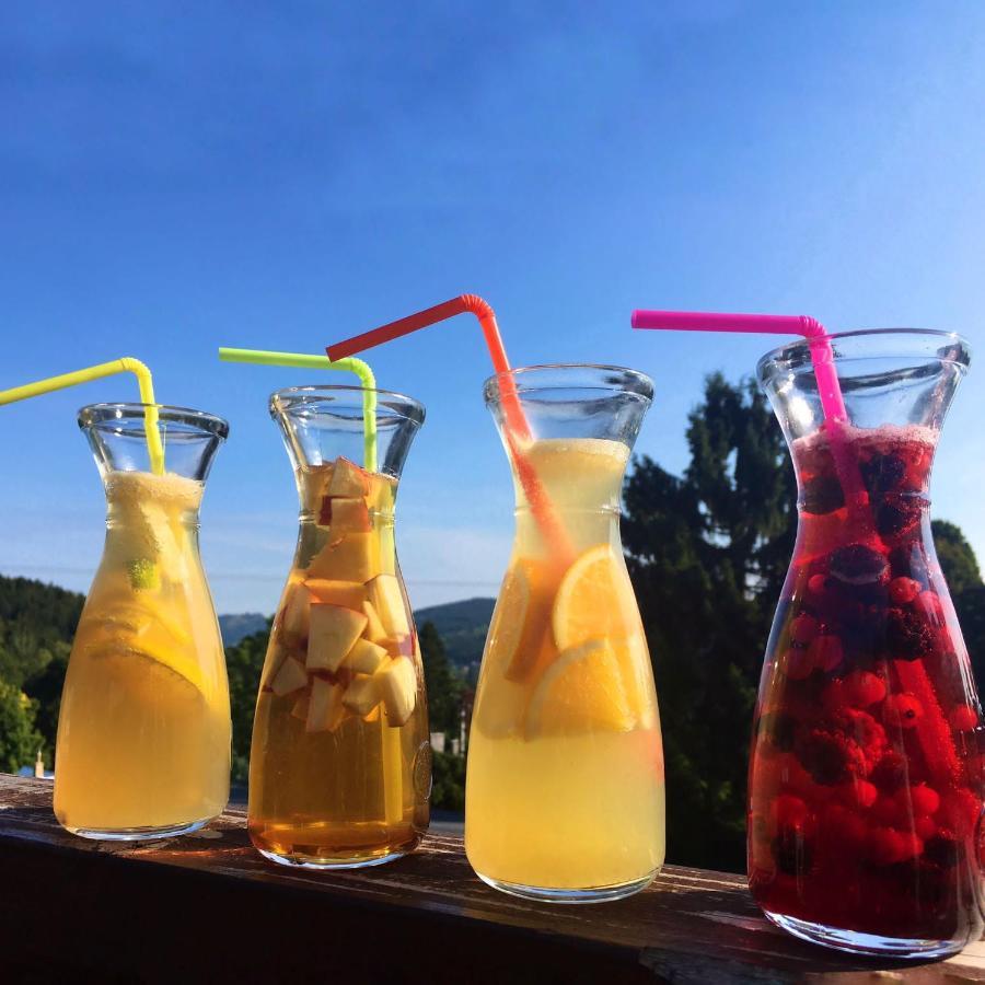 Hotel Peklo Pro Rodiny S Detmi Josefuv Dul Bagian luar foto